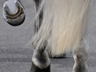 Fuego: nasce in Italia la sua ferratura high-tech