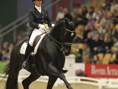 Coppa del Mondo dopo Londra.