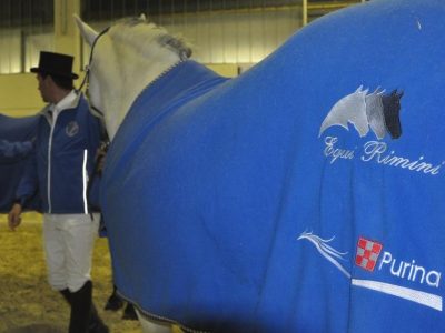 Grand Prix ed altre novità!