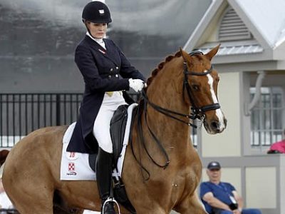 CDI-W Wellington il GP alla Holzer.