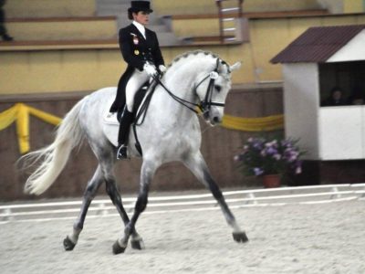 CDI 3* Wroclaw: Milczarek ancora!