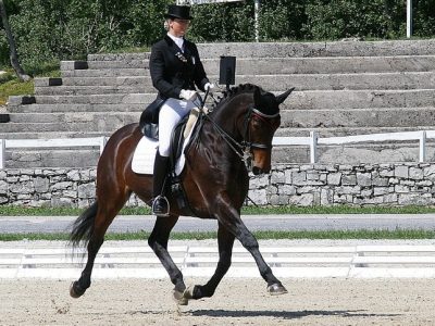 CDI 3* Vidauban: bravissime le YR.