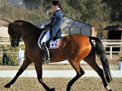 CDI 3* Vidauban: GP Kur alla Michel.
