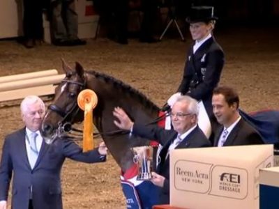 CDI-W Neumunster: Langehanenberg!