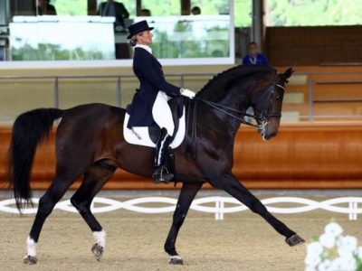 CDI 3*Wroclaw: Silvia brava!