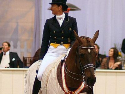 CDI 3* Wellington: Tinne Special!