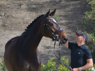 Video: Peters e Legolas il GP di San Juan Capistrano.