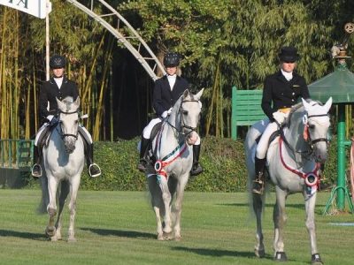 Campionato Iberico di dressage a Verona.