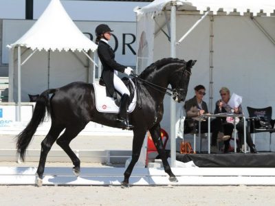 CDI 3* Toledo: Minna sbanca!