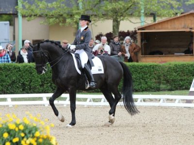 Video: Morgan Barbancon vince il GP a Saumur.