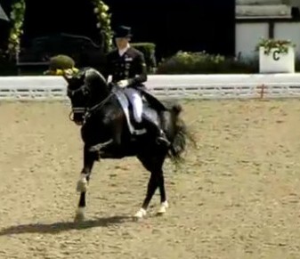 Video: Totilas ad Hagen.