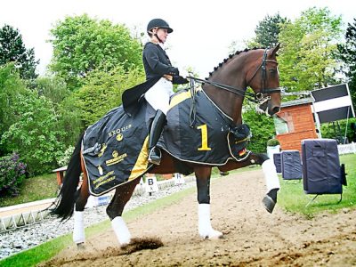 Video: WDM la Werth oro in Grand Prix.