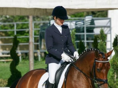 CDN A Arezzo: I giovani cavalli.