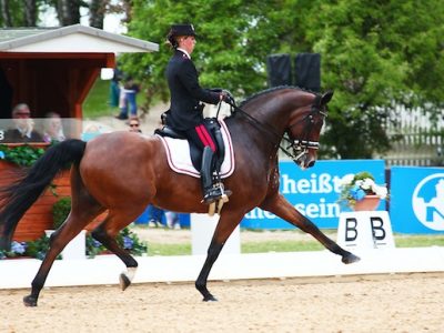 Video: WDM Valentina Truppa.