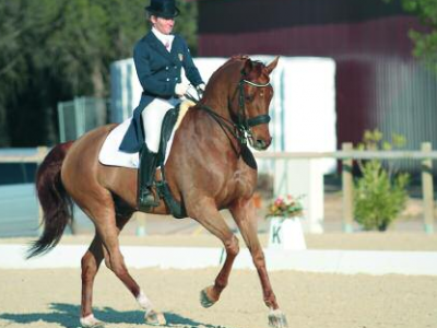 West Nile il TRI-TEC 14 aiuta nel controllo delle zanzare e nella prevenzione.