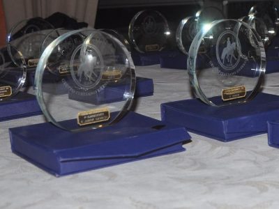 al GESE partono i Dressage Games 2012.