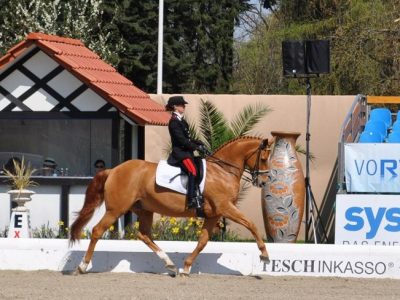 CDI 3* Monaco.