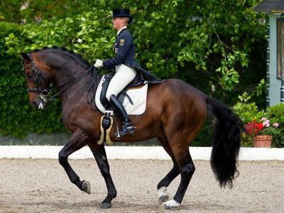 CDI 3* Achleiten: secondo giorno.