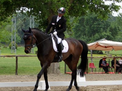 CPEDI 3* Casorate: Grande Vigon!