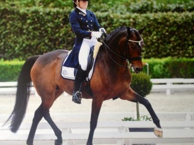 CDI 3* Compiegne: Chiara brilla!