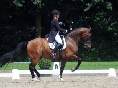 Don Johnson in forma.