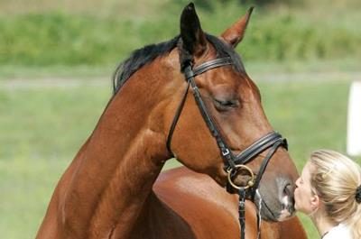 Il nostro cuore batte per voi!