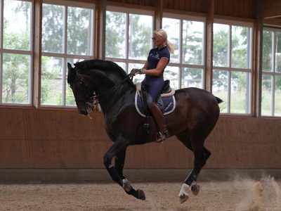 Silvia debutta nel WDM.