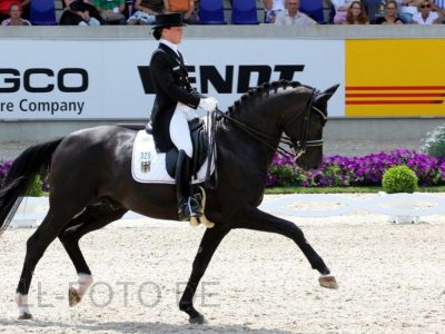 CDIO 5* Aachen: Sprehe bis!