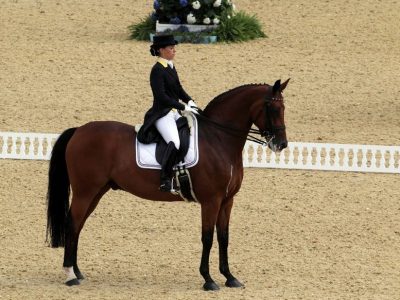 Freestyle l’ordine di partenza