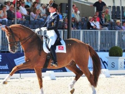 CDI 4* Perl: il GP alla Salzgeber