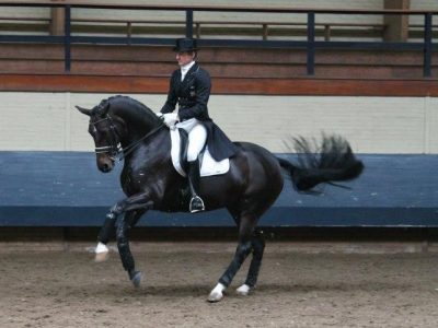 Video: Gal ed Ashter de Jeu nel St Georges ad Ermelo