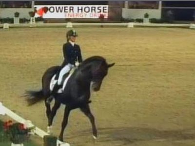 CDI 4* Vienna: Werth vince il GP, la Rizzo è 9°