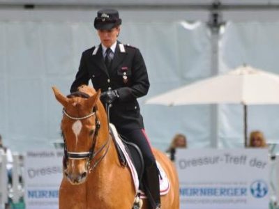 CDI 3* Arezzo