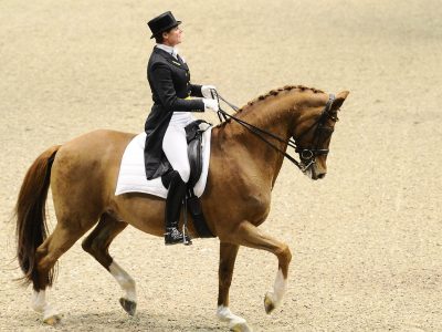 Video: Salzgeber al Peterhof Dressage Gala