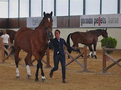 Arezzo al via  i Campionati Italiani ed il CDI 3*
