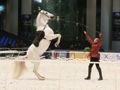 Dorothée Obry e Patrick Jullien: momenti d’arte equestre