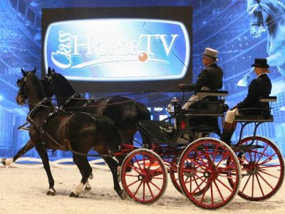 Dressage a Palazzo anche con gli attacchi