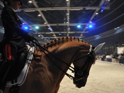 Fiera Cavalli presentata l’ edizione 2012