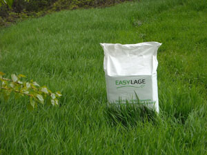 Problemi respiratori: si possono prevenire anche con l’ alimentazione