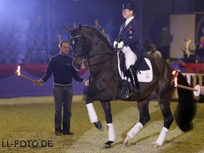 Video: Diamond Hit ritirato dalle competizioni