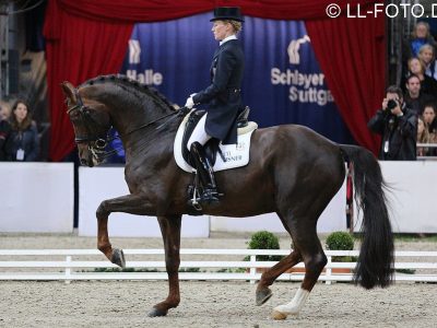 Video: CDI-W Stuttgart