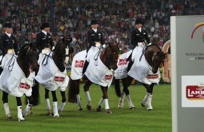 Dressage ci sarà la Coppa delle Nazioni!