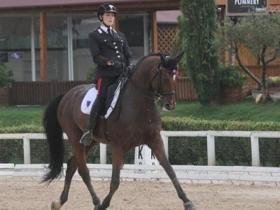 Programmi e calendari delle manifestazioni di interesse federale