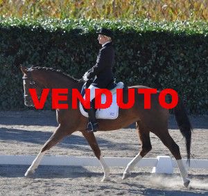 Sorella di Totilas da parte di padre