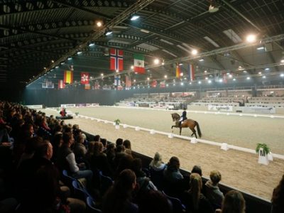 Video: la kur di Gal a Drachten