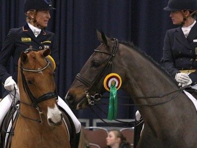 CDN Munster: sfilata di stelle!