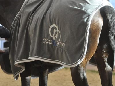 Video: Silvia Rizzo WDM Palm Beach