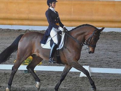 CDN  A  Sommacampagna: partita la Coppa Italia 2013!