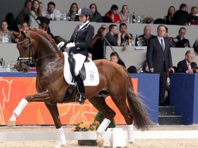 KWPN Stallion Show 2013 un successo!