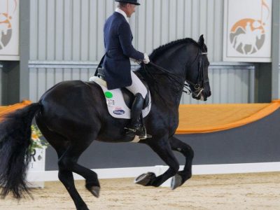 CDI 3* Orange: doppia vittoria per Heath Ryan !